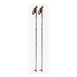 SKI TRAB <BR> BASTONE VERTICAL CARBON